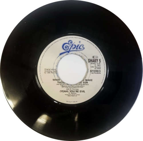 Shakin' Stevens – What Do You Want To Make Those Eyes At Me For Epic – SHAKY 5