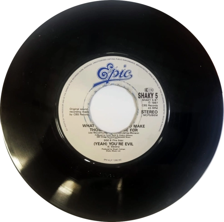Shakin' Stevens – What Do You Want To Make Those Eyes At Me For Epic – SHAKY 5