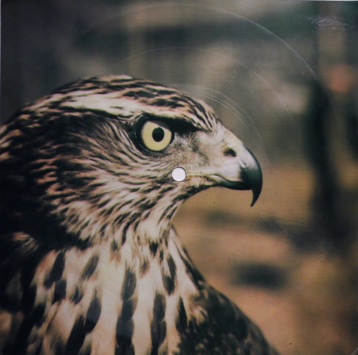 Patricia Paay / Sun – Malibu / Sum Is Here Tonpress – R-0731-II