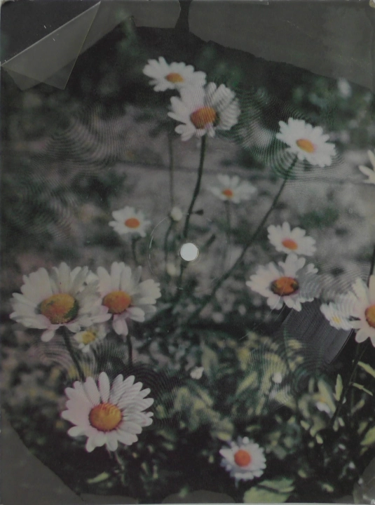 Trubadurzy – Kasia Polskie Nagrania Muza – KP-125