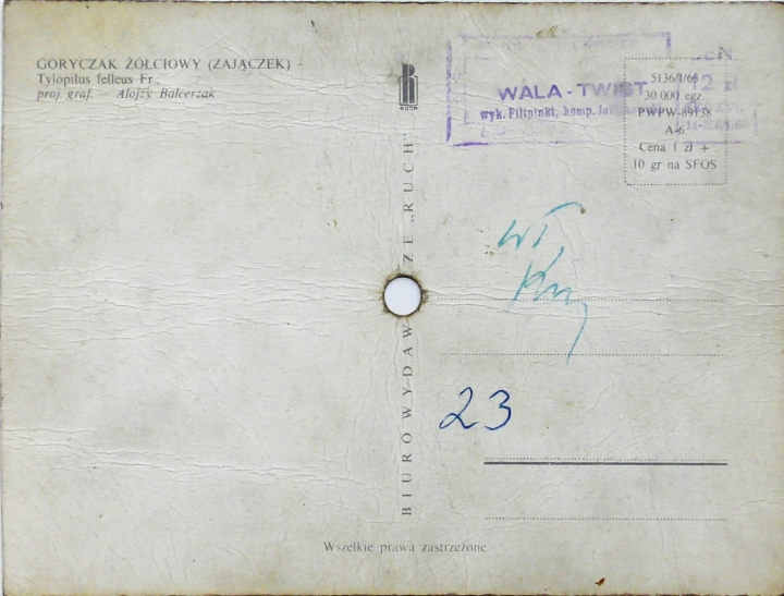 Filipinki – Wala - Twist Polskie