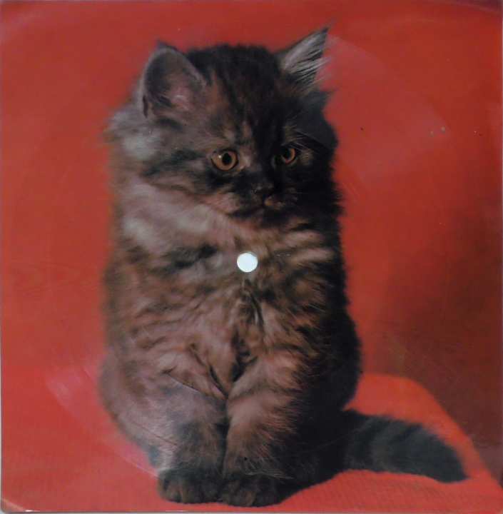 Maryla Rodowicz – Moja Mama Jest Przy Forsie Tonpress – R-0501