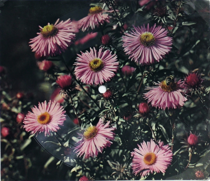 Orkiestra i Zespół Estradowy Wojsk Lotniczych "Eskadra" Wracajcie Do Dziewcząt Żołnierze / Szlakiem Bocianów