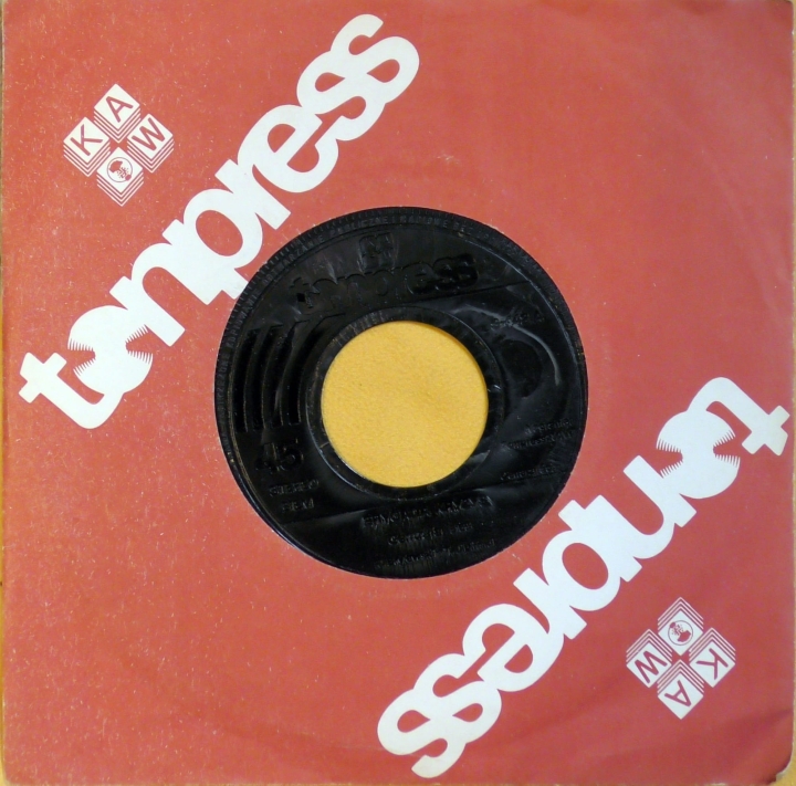 Brygada Kryzys – Centrala / The Real One Tonpress – S-442