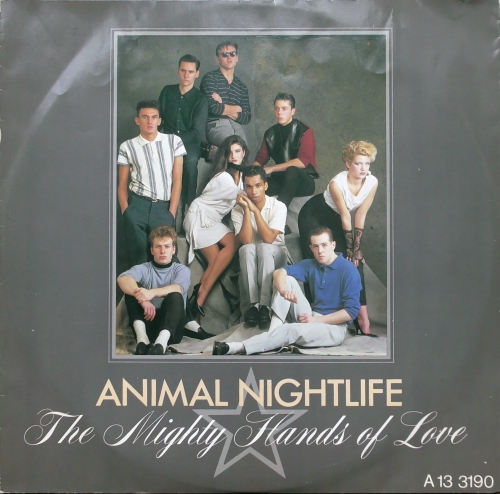 Animal Nightlife ‎– The Mighty Hands Of Love Inner Vision ‎– A 13 3190 Vinyl, 12", 45 RPM