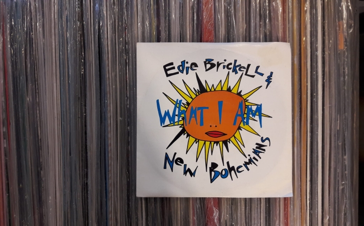 plyty_winylowe_Edie_Brickell_and_New_Bohemians_What_I_Am_Geffen_Records_GEF_49_Vinyl_7_cali_45_RPM
