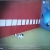 DSC09780-crop.JPG