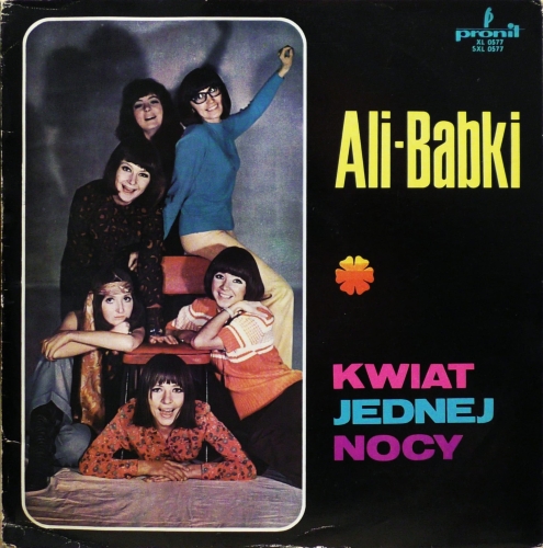 Ali-Babki – Kwiat Jednej Nocy Pronit – XL 0577
