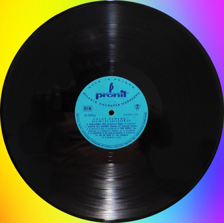 Kazimierz Grześkowiak – Chłop Żywemu... Pronit – XL 0532