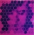 Omega--6---Nem-Tudom-A-Neved-Pepita--SLPX-17483.webp