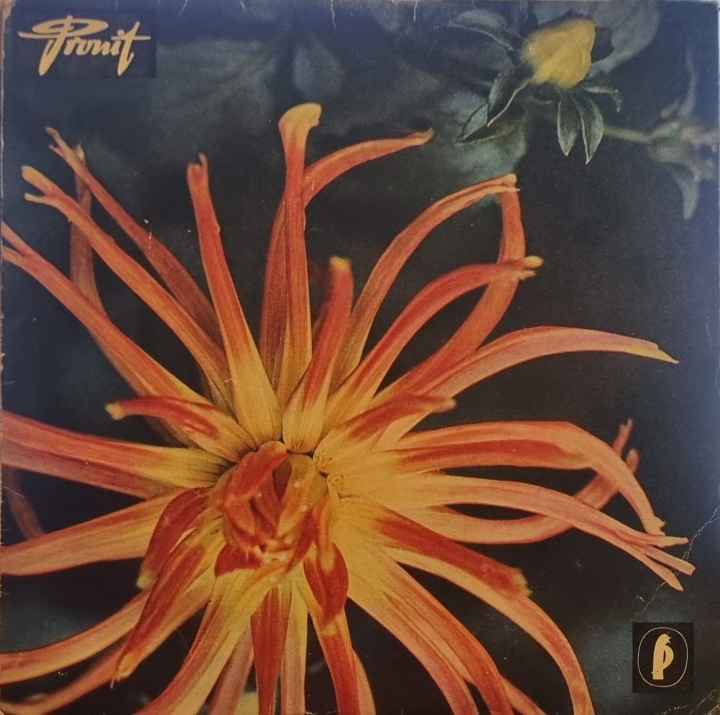 Rena Rolska – Nie Wolno Mi Pronit – N 0314