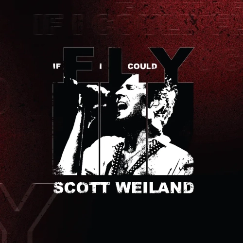 Scott Weiland	If I Could Fly/Barbarella (Live)