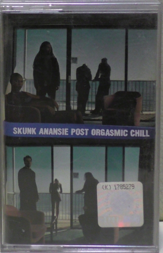 Skunk Anansie – Post Orgasmic Chill Virgin – 7243 8 47104 4 6