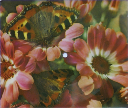 2+1 – Bądź Zdrowa Dziewczyno Przedsiębiorstwo Wydawniczo-Poligraficzne "Ruch" – R-0011-II