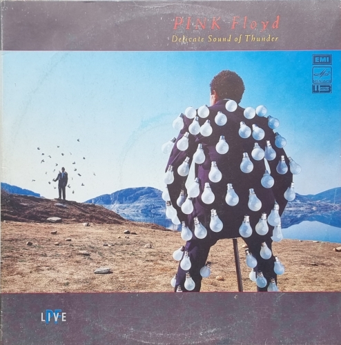 Pink Floyd – Delicate Sound Of Thunder Мелодия – A60 00543 007