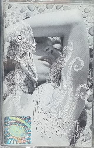 Björk – Vespertine Polydor – 589000-4