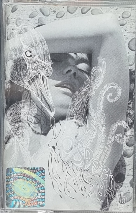 Björk – Vespertine Polydor – 589000-4