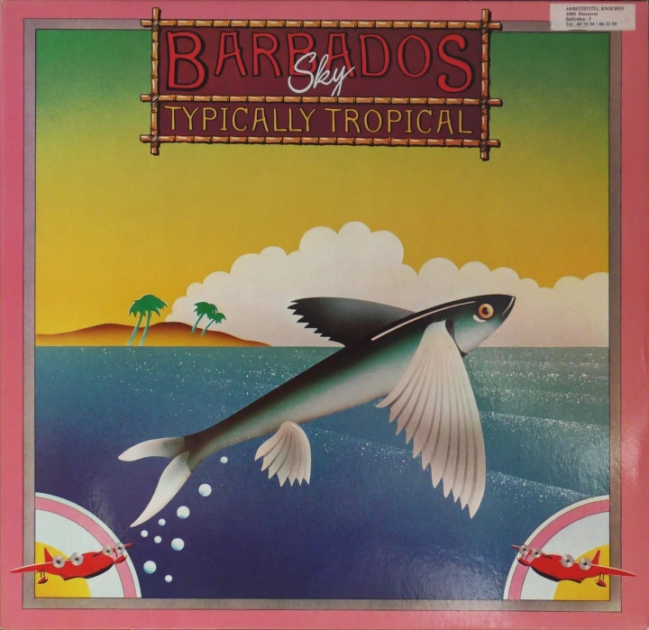 Typically Tropical – Barbados Sky Gull – 26 587-6U