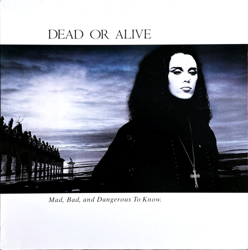 Płyty winylowe Dead Or Alive – Mad, Bad And Dangerous To Know Epic – EPC 450257 1