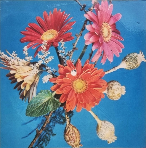 Ada Rudowicz & Wojciech Korda – Masz U Mnie Plus Tonpress – R-0565-II