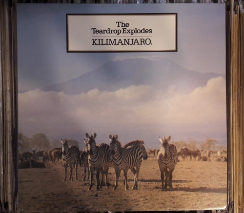 The,Teardrop,Explodes,Kilimanjaro,sklep,plyty,winylowe,sklep,sklep,plyty,winylowe,LP,Records,vinyl,plytagramofonowa,plastinki,vinyl,record,Schallplatten,vinyl-Schallplatten,vinylskivorDisques,vinyles,Amarekhodi,e-vinyl