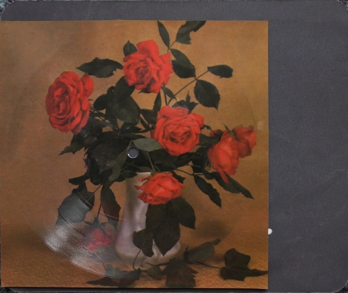 J. Lech / H. Banaszak ‎– Już Za Krótki Dla Nas Dzień / Do Kraju Szczęścia Tonpress ‎– R-0461-II  Flexi-disc, 7", 45 RPM, Single Sided, Card Backed, Picture Disc, Mono 