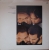 DSC09627-crop.JPG