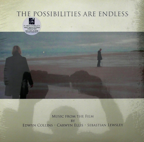 Edwyn Collins, Carwyn Ellis And Sebastian Lewsley ‎– The Possibilities Are Endless  Analogue Enhanced Digital Limited ‎– AEDEC24LP  Vinyl, LP