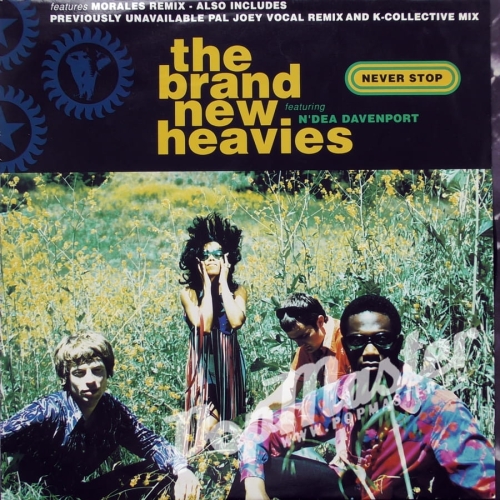 The Brand New Heavies Featuring N'Dea Davenport ‎– Never Stop Acid Jazz, Deep House, Soul Płyty Winylowe Acid Jazz ‎– FX 165