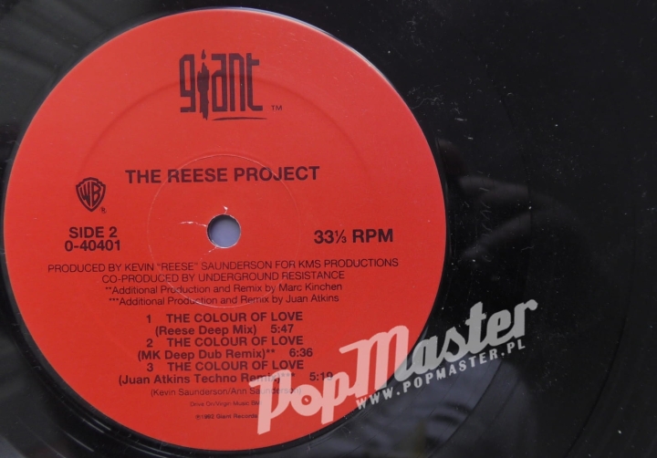 The Reese Project The Colour Of Love 0-40401 Vinyl House Płyta  www.popmaster.pl