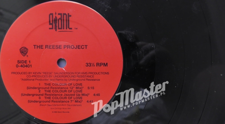 The Reese Project The Colour Of Love 0-40401 Vinyl House Płyta  www.popmaster.pl