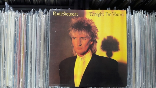 Rod Stewart ‎– Tonight I'm Yours Riva ‎– RVLP 14 Vinyl, LP, Album