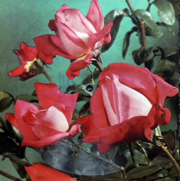 M. Macielińska - Moja Miłość, Moja Gwiazda,  Zatrzymam Cię Przy Sobie Tonpress ‎– R-0430-II  Flexi-disc, 7", 45 RPM, Single Sided, Card Backed, Sound Postcard, Mono 