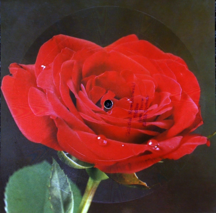 Elżbieta Śnieżanaka - Dziękuję Wam Szczęśliwe Dni, Jedyna Sprawa Polubieć Tonpress ‎– R-0430-II Flexi-disc, 7", 45 RPM, Single Sided, Card Backed, Sound Poscard, Mono