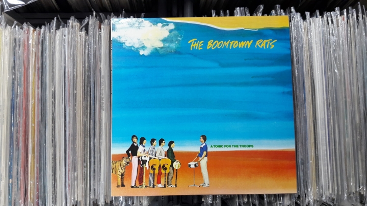 The Boomtown Rats ‎– A Tonic For The Troops Ensign ‎– ENVY 3 Vinyl ,LP , Album