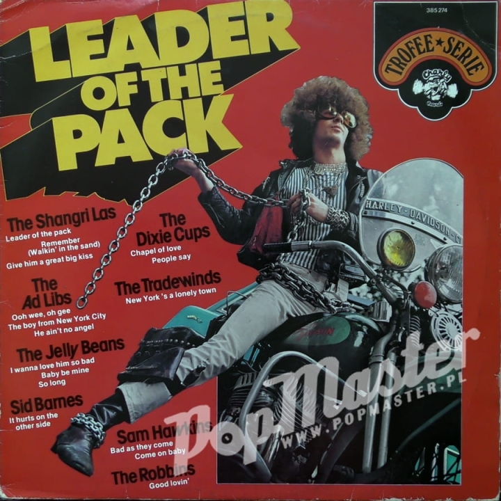 Leader Of The Pack 385274 The Shangri Las, The Dixie Cups, The Ad Libs w kategorii Składanki