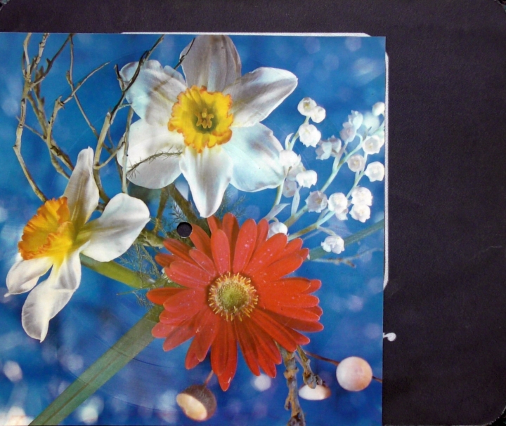 Ada Rudowicz I Wojciech Korda ‎– Masz U Mnie Plus, Czy Zgadniesz Kto To Jest  Tonpress ‎– R-0565-II   Flexi-disc, 7", 45 RPM, Single Sided, Card Backed, Picture Disc, Mono 