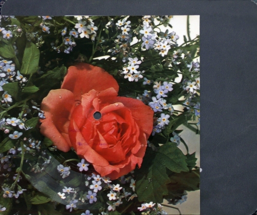 Grupa Pod Budą ‎– Bardzo Smutna Piosenka Retro Tonpress ‎– R-0750-II Flexi-disc, 7", 45 RPM, Single Sided, Card Backed, Picture Disc, Mono 