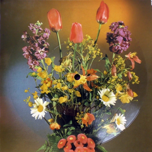 Happy End / W. Antkowiak ‎– Taki Jest Świat / Czemu Marzymy Tonpress ‎– R-0458-II Flexi-disc, 7", 45 RPM, Single Sided, Card Backed, Picture Disc, Mono