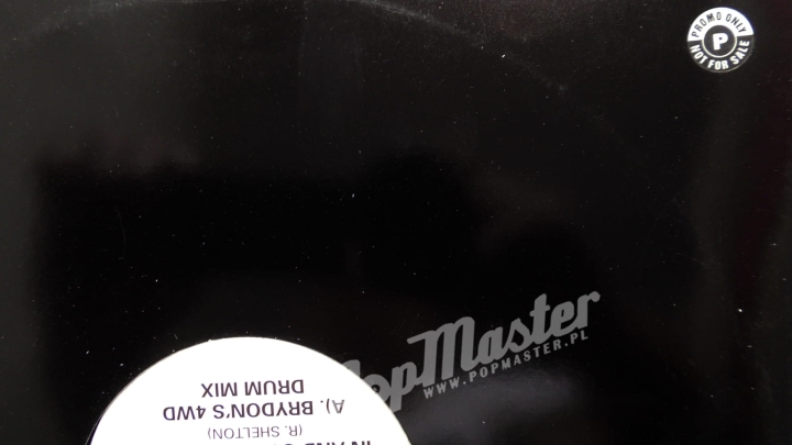 Tonja Dantzler In And Out Of Me Promo Copy FXDJ 246 Vinyl House Płyta