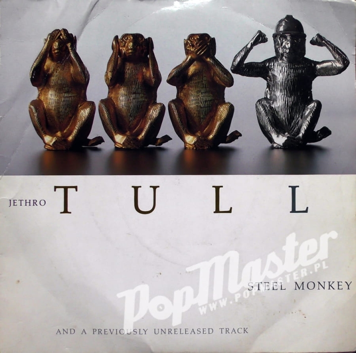 Jethro Tull Steel Monkey Tull 3 records shop in poland